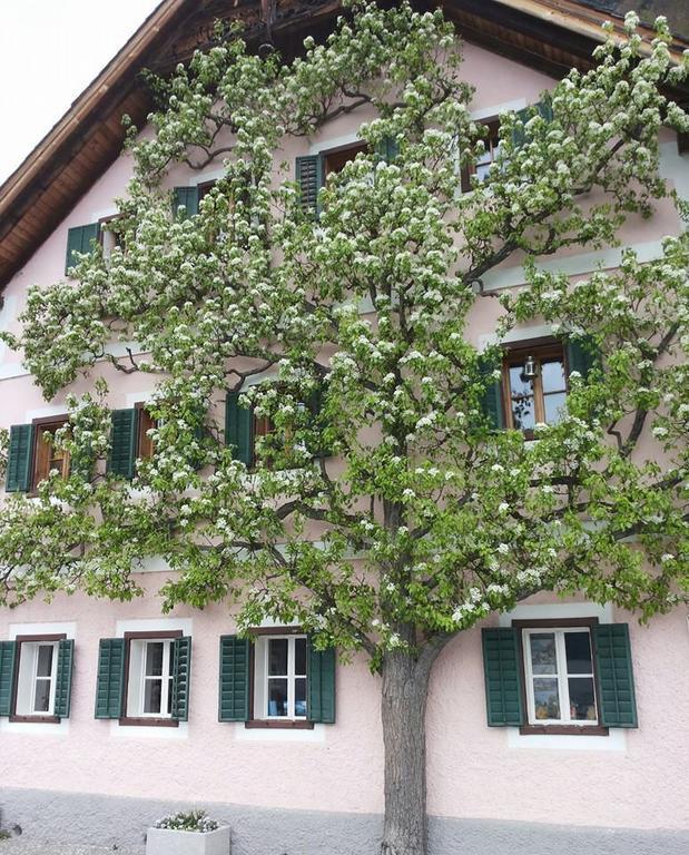 Apartment Luise Hallstatt Ruang foto